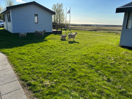 lawn mowers at our overnight hotel on the tour